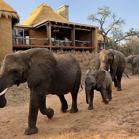 Jabulani Safari Kapama Game Reserve Exterior foto